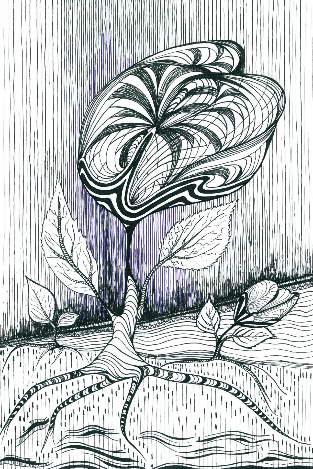 Plakat kwiat Alicji – autorska grafika Black Format & Words